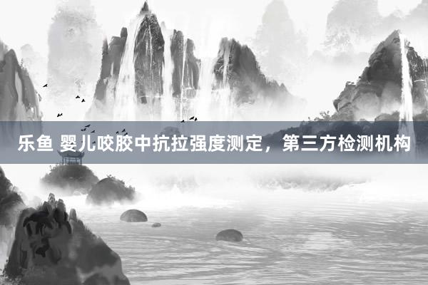 乐鱼 婴儿咬胶中抗拉强度测定，第三方检测机构