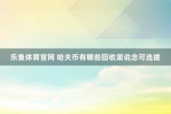 乐鱼体育官网 哈夫币有哪些回收渠说念可选拔