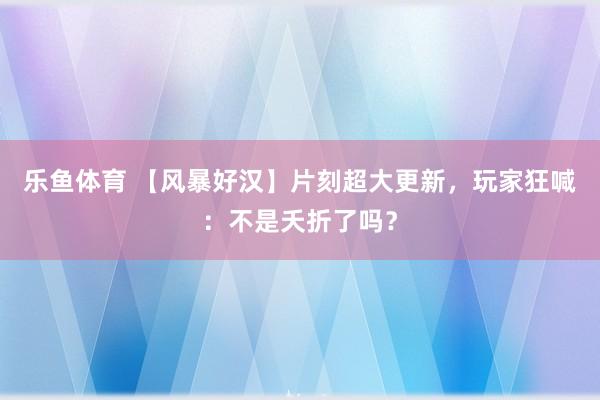 乐鱼体育 【风暴好汉】片刻超大更新，玩家狂喊：不是夭折了吗？