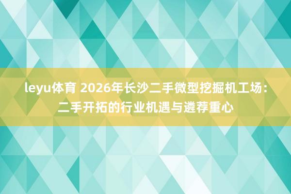 leyu体育 2026年长沙二手微型挖掘机工场：二手开拓的行业机遇与遴荐重心